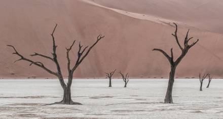 Dead Valley at Sossusvlei in Namibia